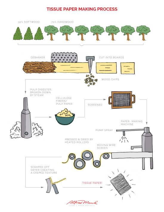 A Closer Look At The Paper Production Process